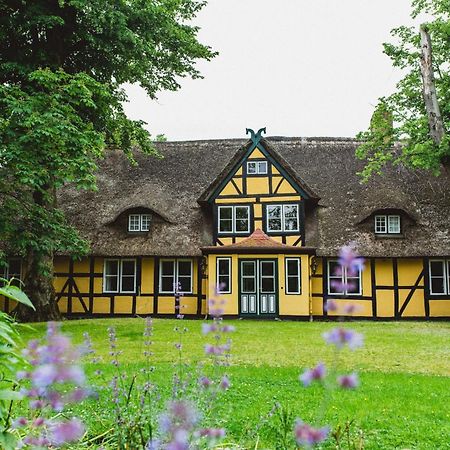 Herrenhaus Gut Dorotheenthal Damp Buitenkant foto