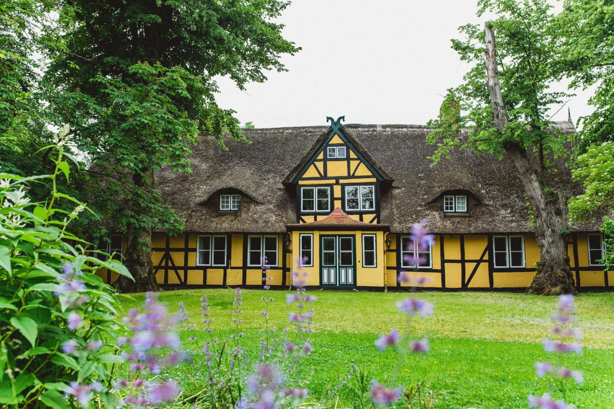 Herrenhaus Gut Dorotheenthal Damp Buitenkant foto